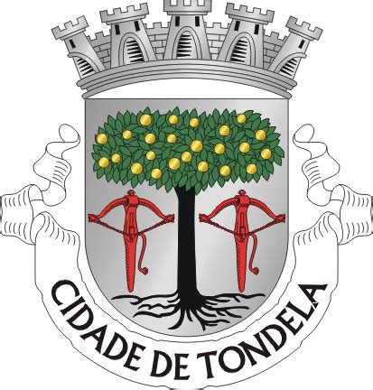 município de tondela